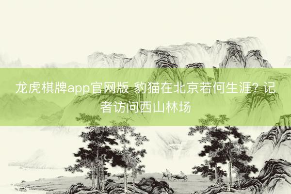 龙虎棋牌app官网版 豹猫在北京若何生涯? 记者访问西山林场